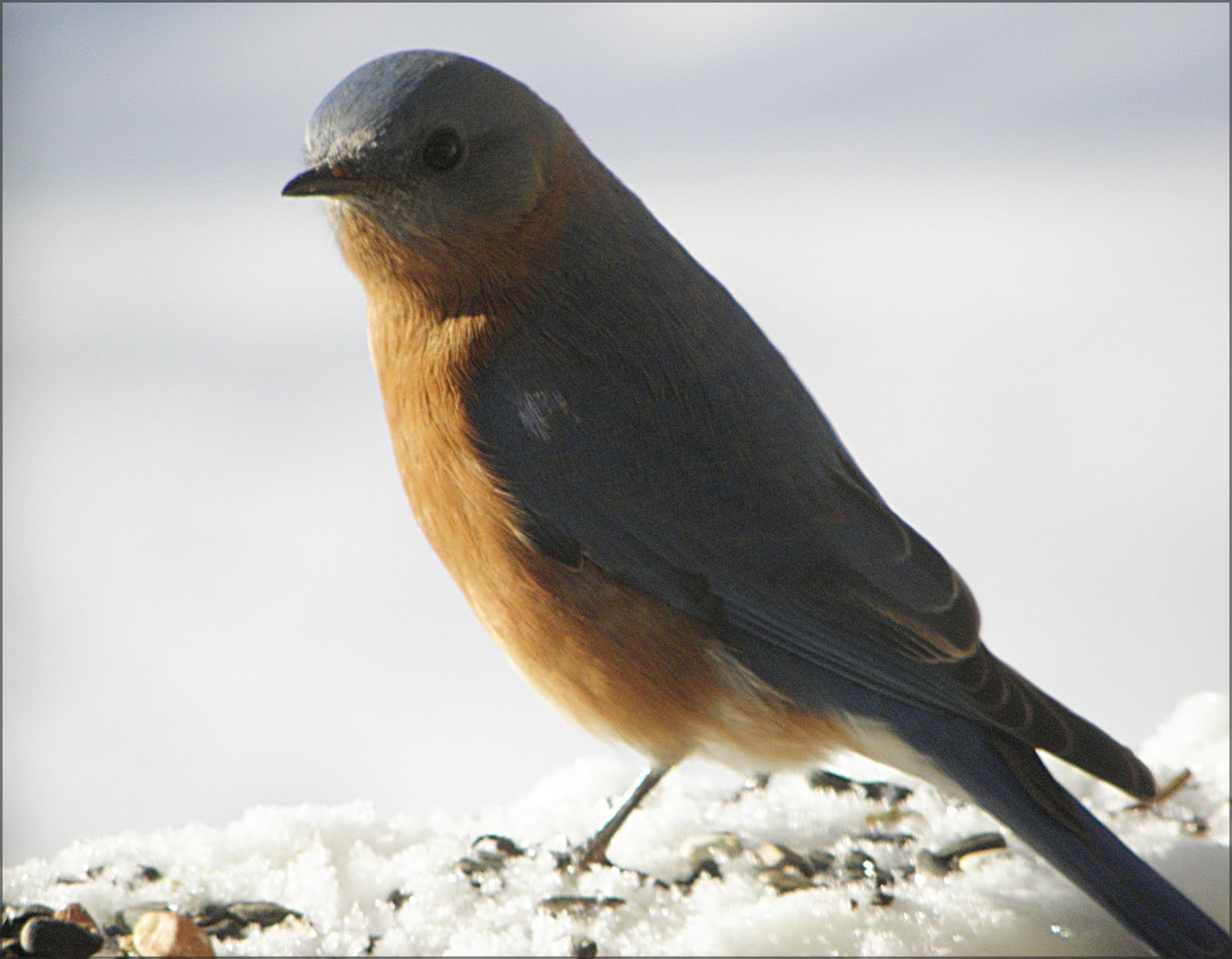 [2009_12_08+012.jpg]