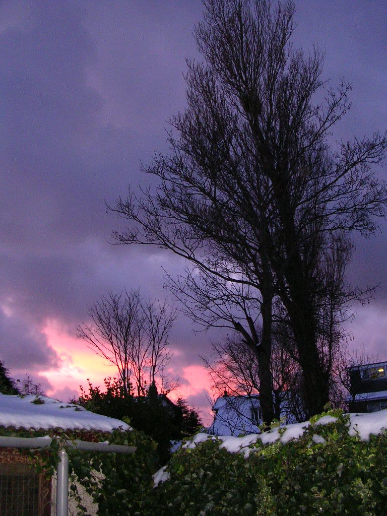 [22dec09+Snowy+Sunset+from+Back_3.JPG]