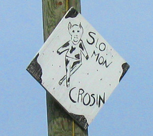 [slow-mon-web.jpg]