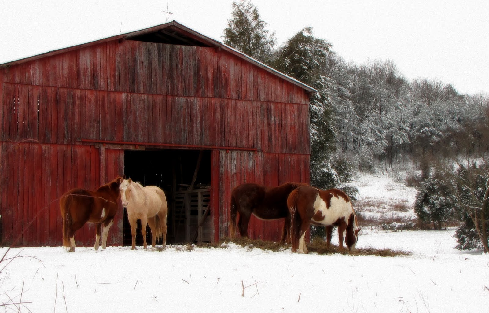 Tennessee Rambler Red Barn w/ Horses
