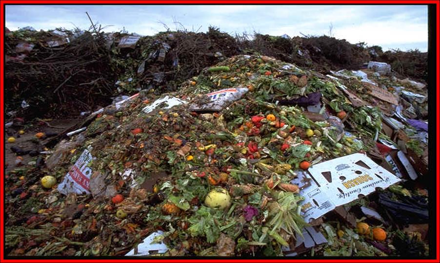 World Architecture Review Earth Issue 2010: III) Overconsumption