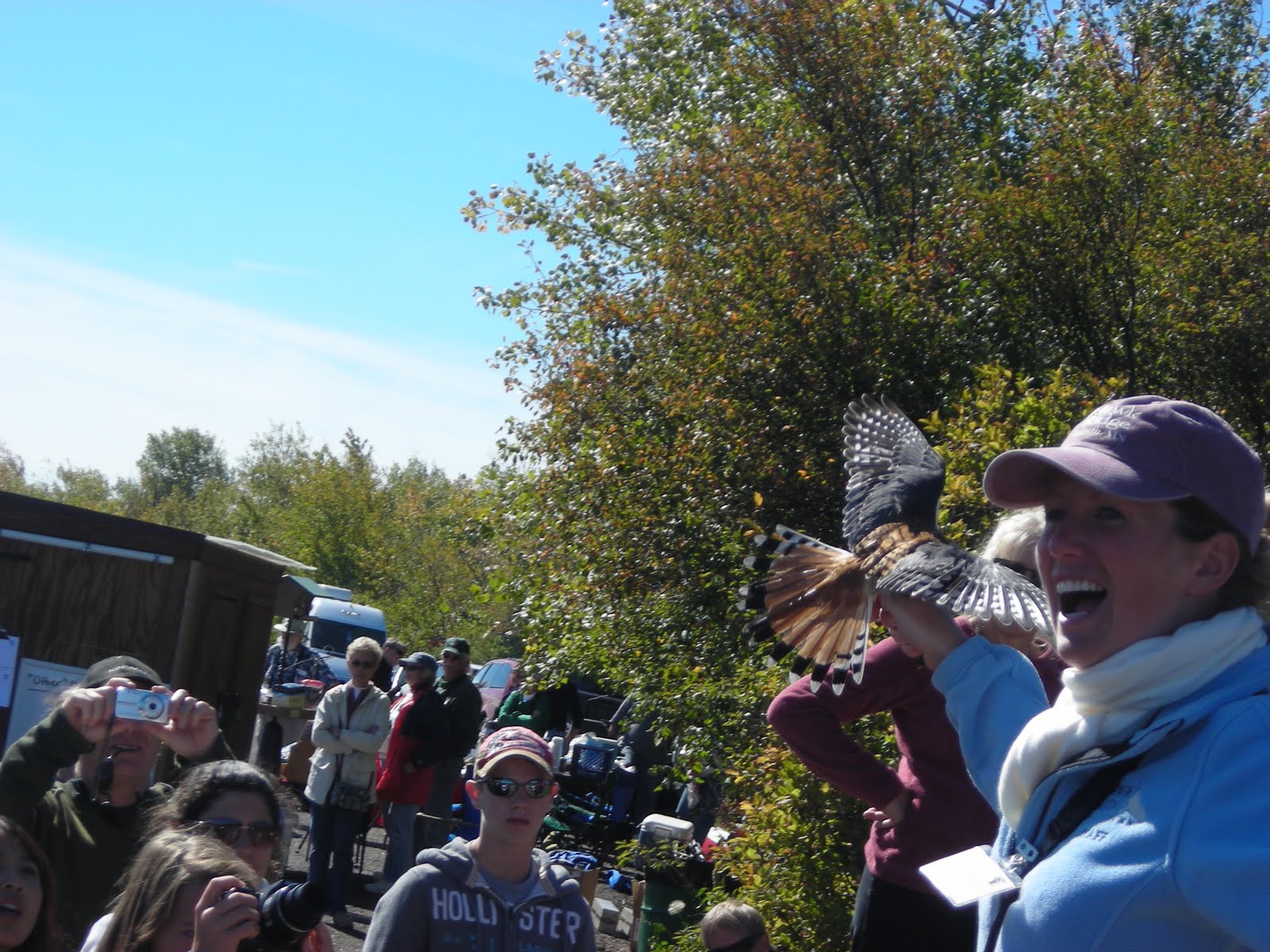 A Naturalist's Journal: The Great Fall Raptor Migration