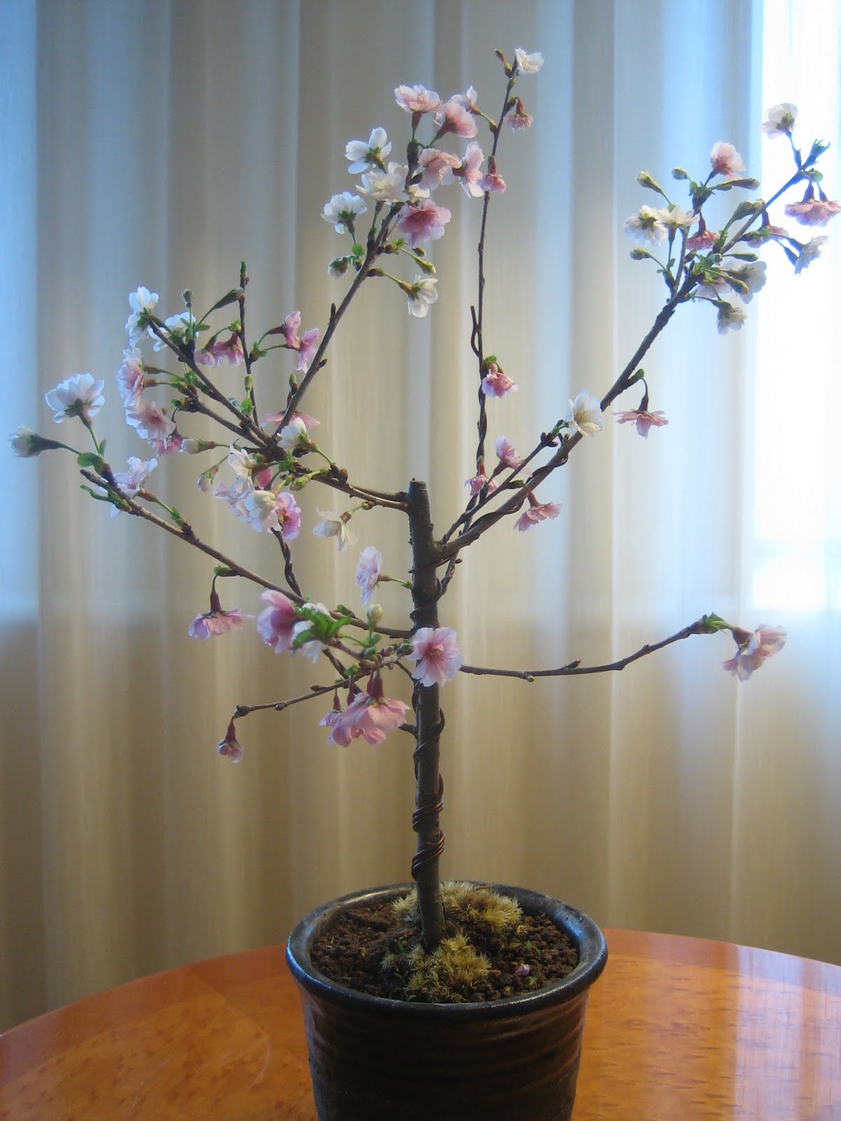 [IMG_9771.JPG]