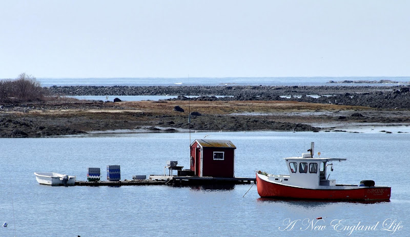 A New England Life: Cape Porpoise Harbor, Maine (Lighthouse View)