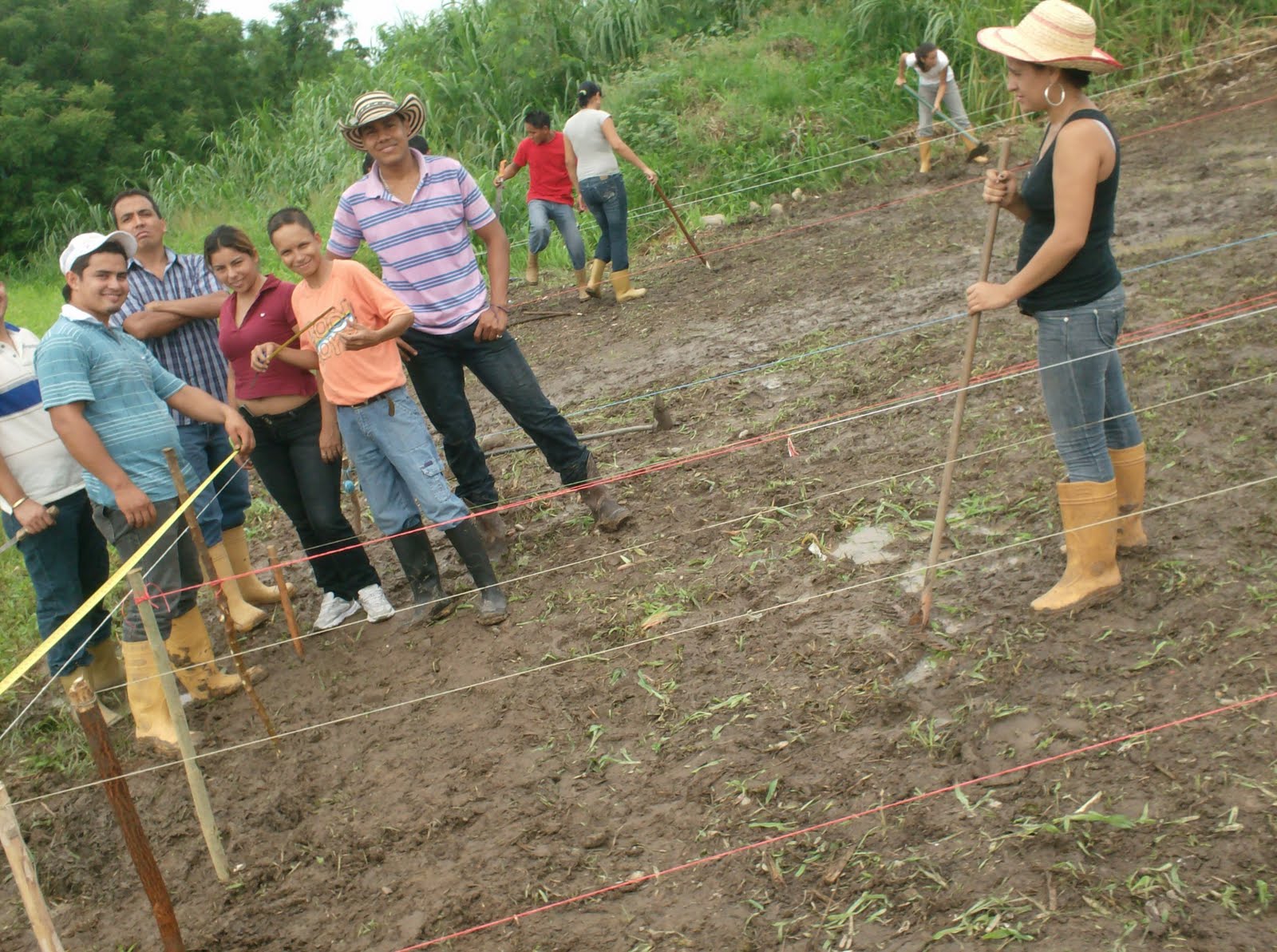 PRODUCCION AGRICOLA VEGETAL DEMARCACION Y DISTRIBUCION DEL TERRENO