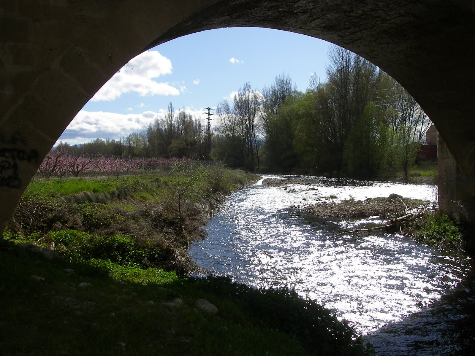 VALLE DEL IREGUA PUENTE MADRE