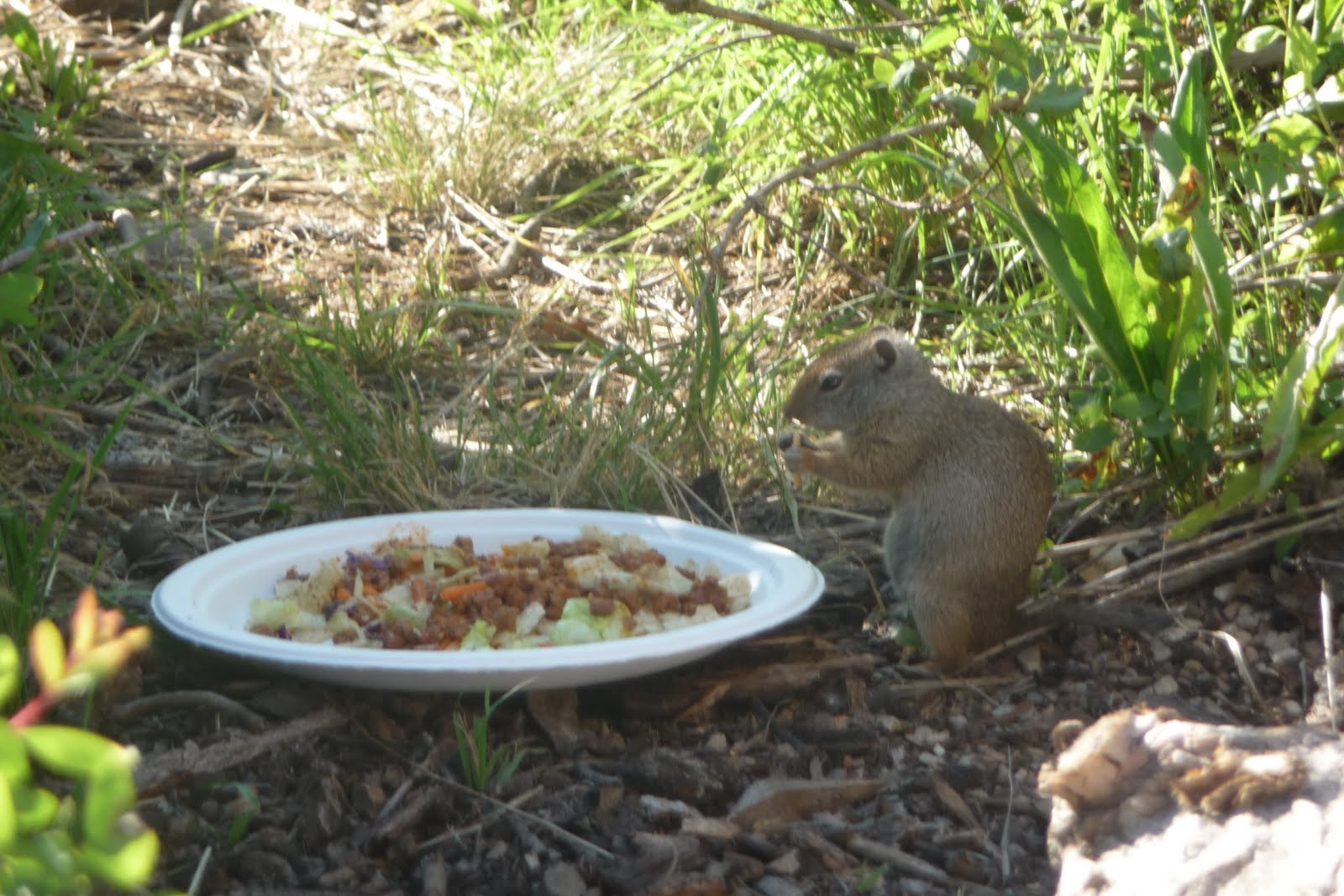 Gardner Family PotGut Paradise