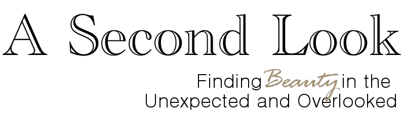 a-second-look