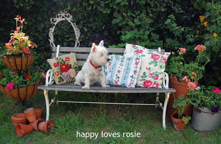 Our Mosaic Pot – Revisited