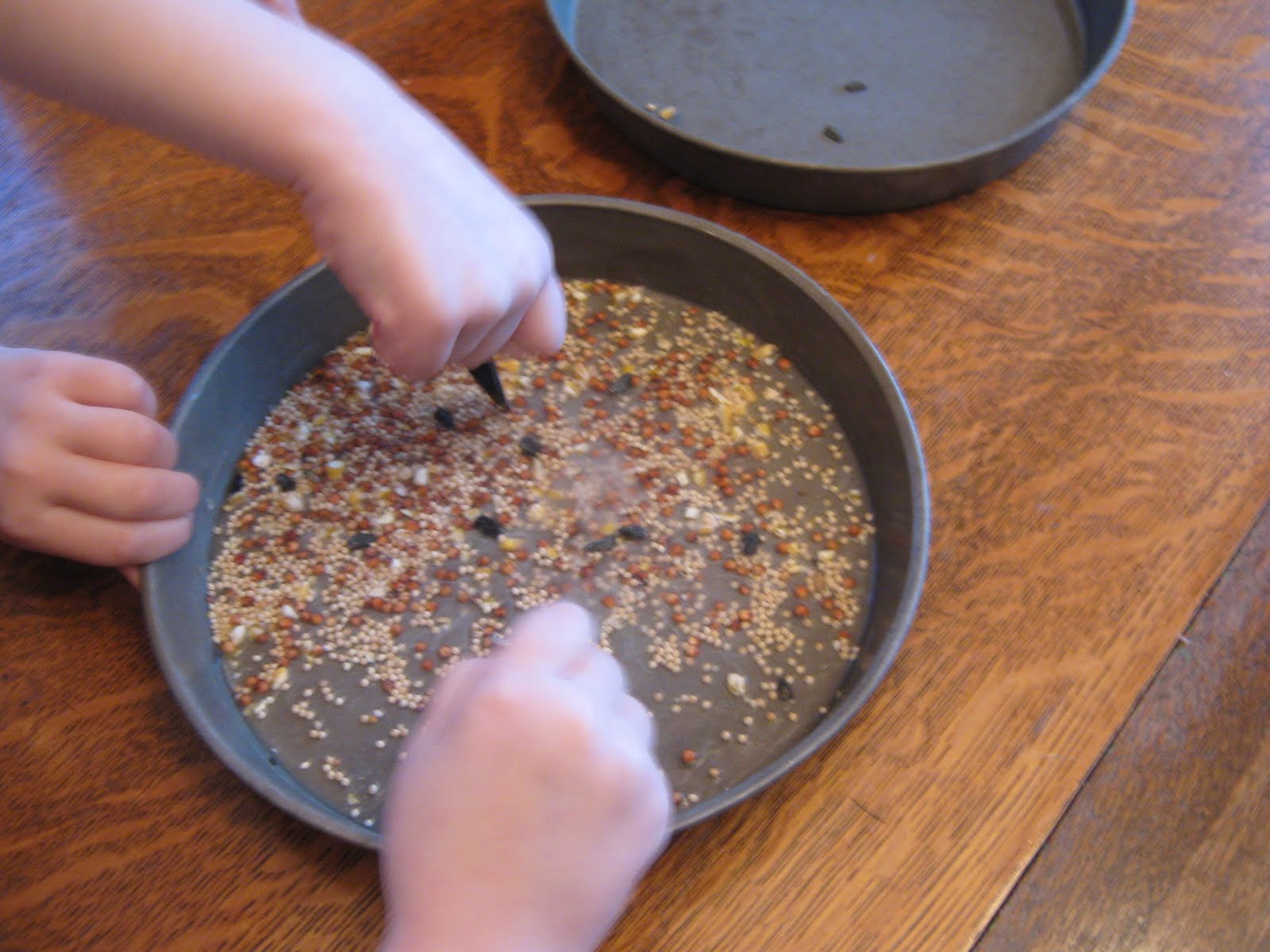 Almost Unschoolers Winter Science for Children Frozen Bird Seed