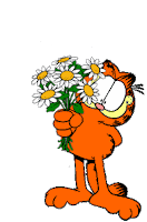 Gif animados Garfield