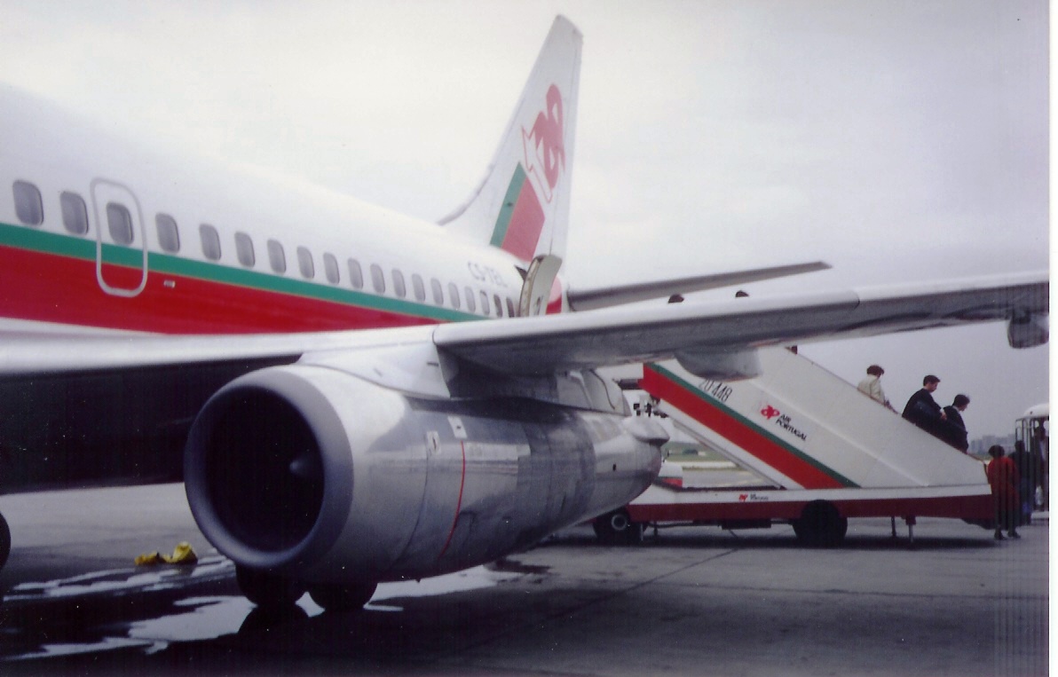 [Madeira(3-90)11.jpg]