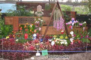 Booth of the Philippine Orchid Society