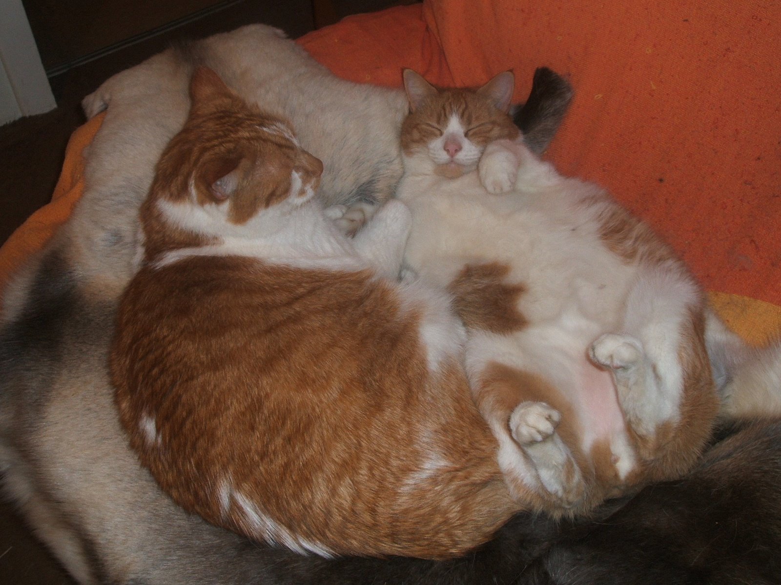 [23.1.08+006.JPG]