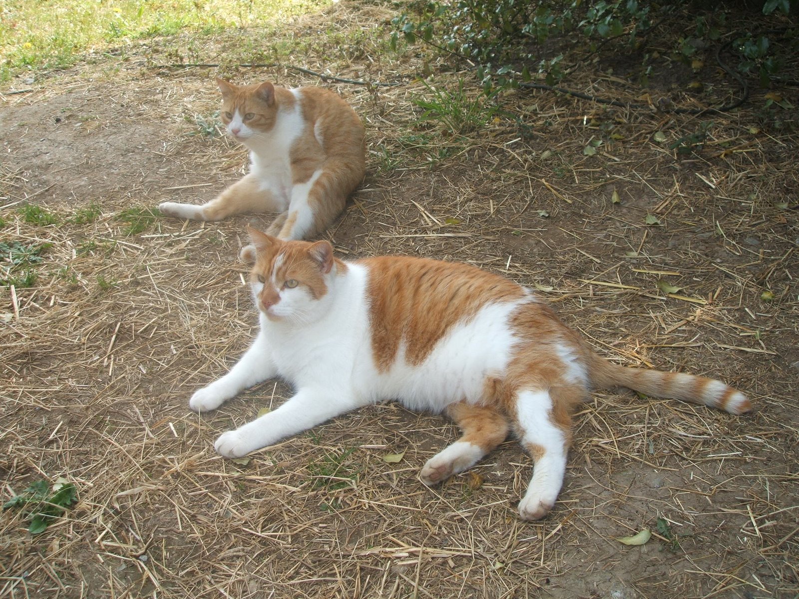 [14.4.07+018.jpg]