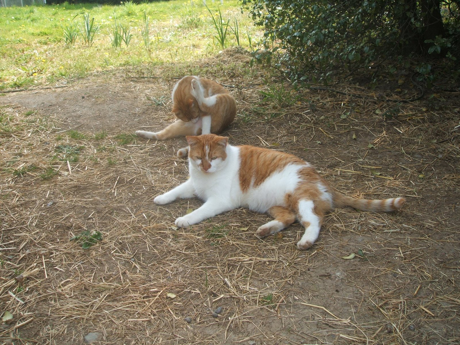 [14.4.07+017.jpg]
