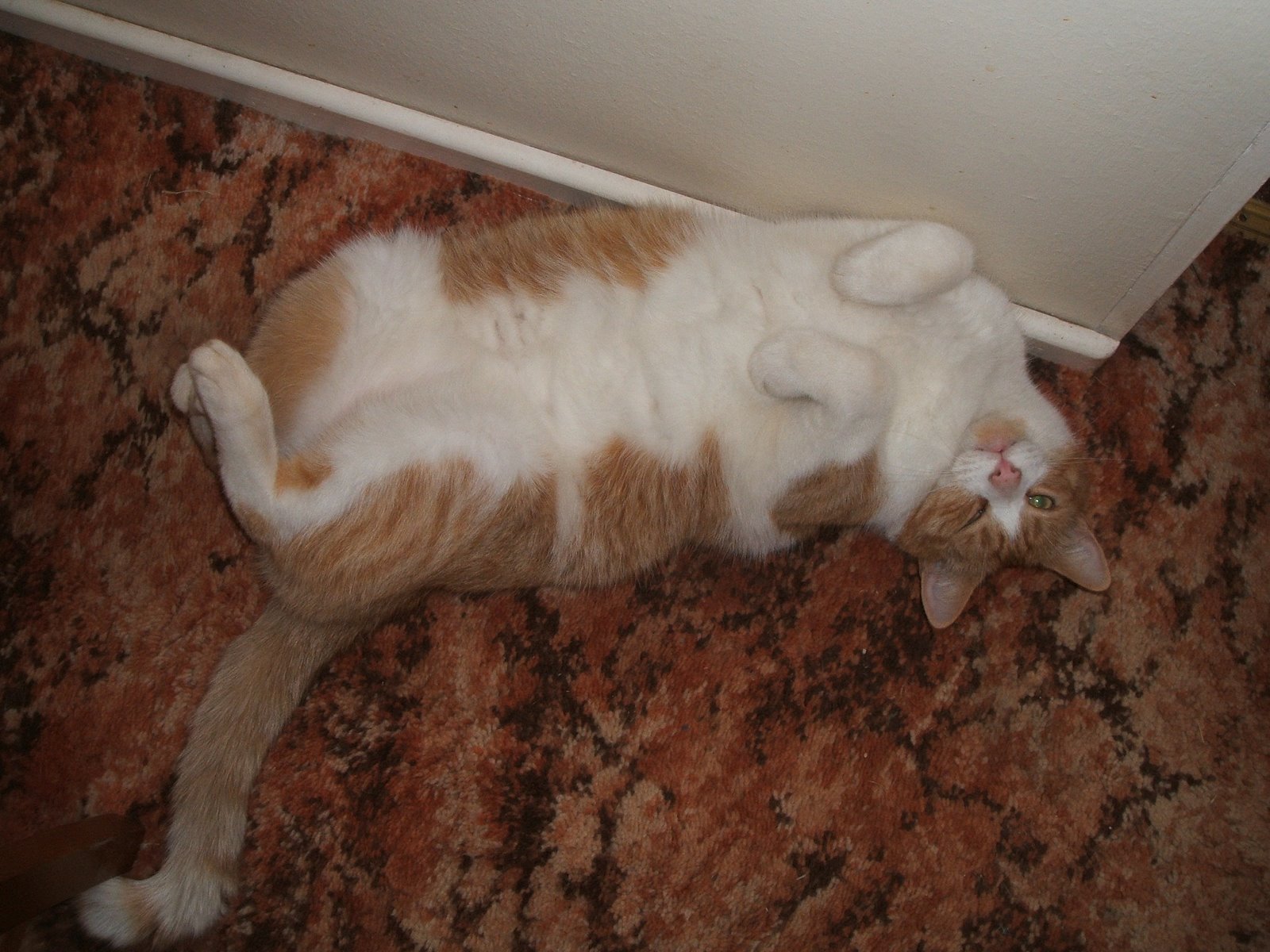 [Eric+and+Flynn+7+003.jpg]