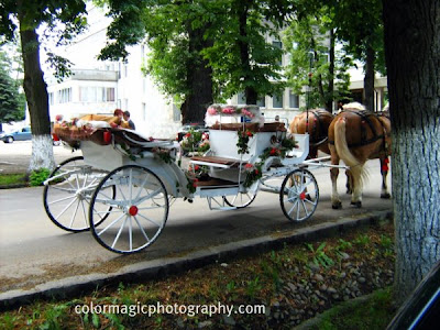 wedding carriage close up
