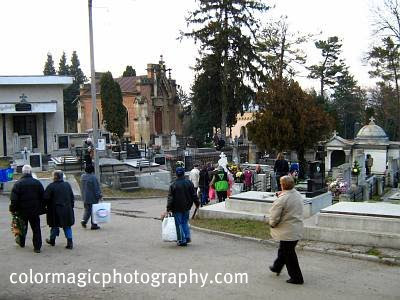 Central cemetery-Cluj Napoca
