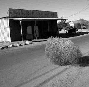 tumbleweed%282%29.jpg