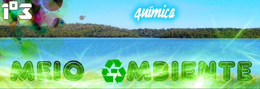 Primeiro 3