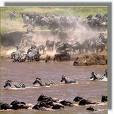 13 Days Kenya Wildlife Trail