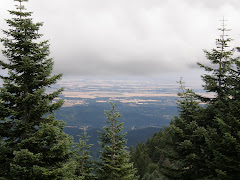 VIEW FROM MARY'S PEAK