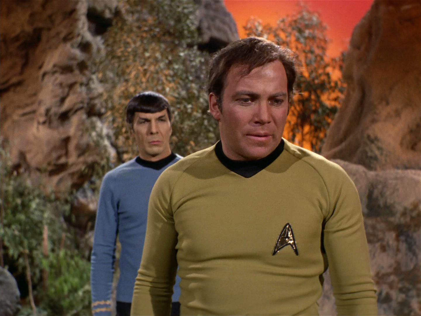 Shatner's Toupee: The toupee and Blu-ray.