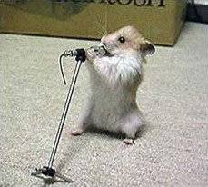 [hamstersinger.jpg]