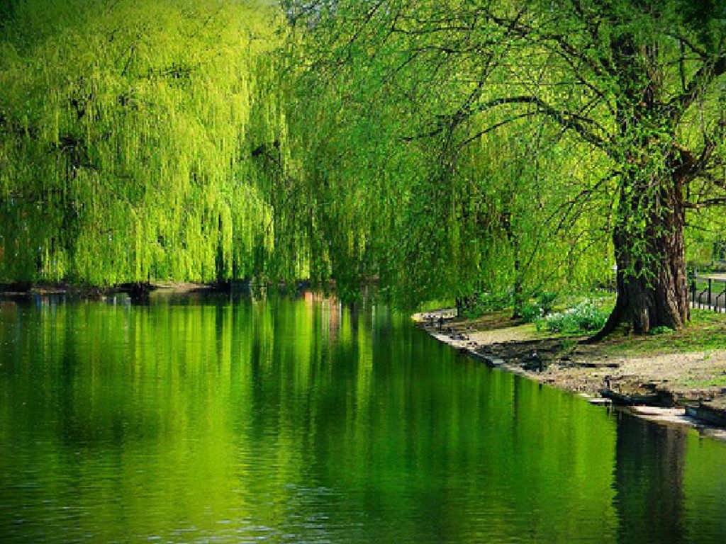 Beautiful Lakes Wallpapers Beautiful Lakes Wallpapers