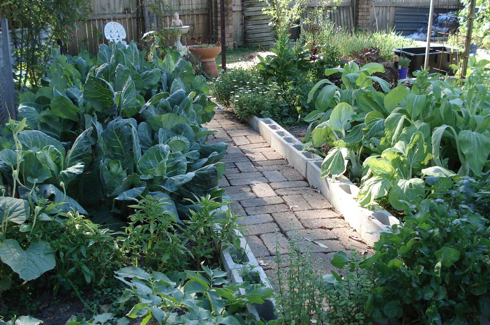 [winter+garden+last+year.jpg]