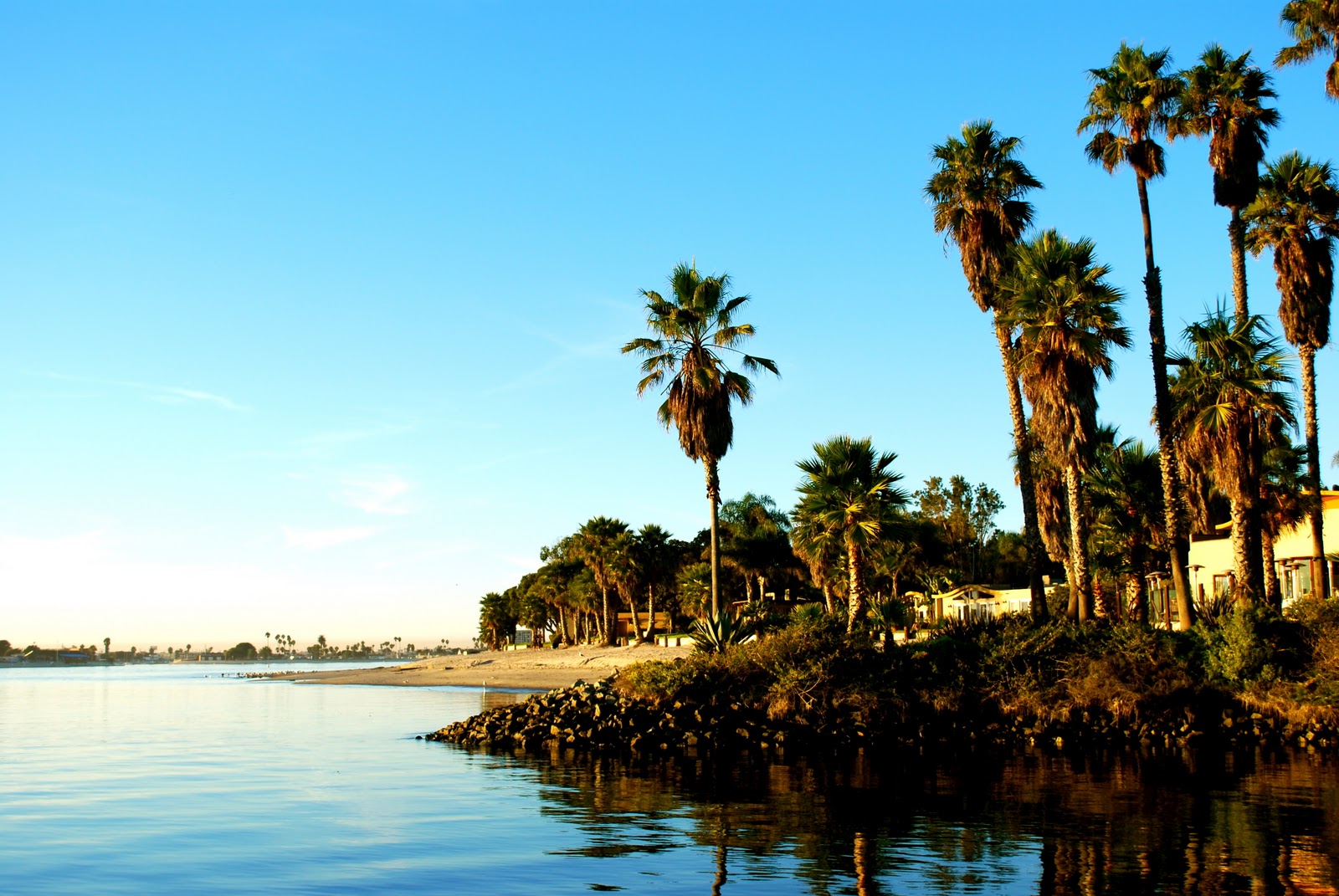 Janet Fitch White Oleander