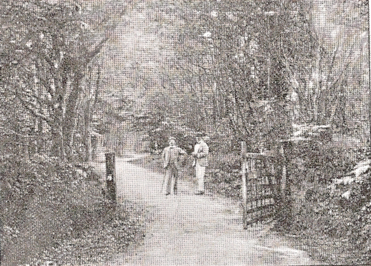 Peasant Arts Haslemere An Ideal Setting for a Village Industry