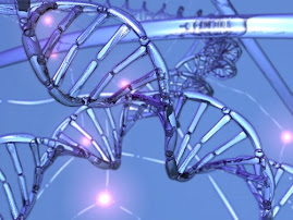BioElectronics !!: How Silica Spin Column DNA and RNA Preps Work