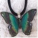 butterfly pendant 1