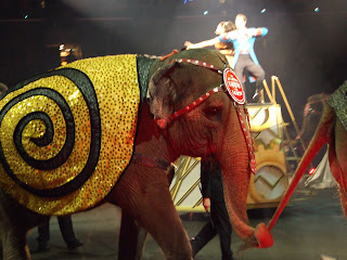 opening elephant parade