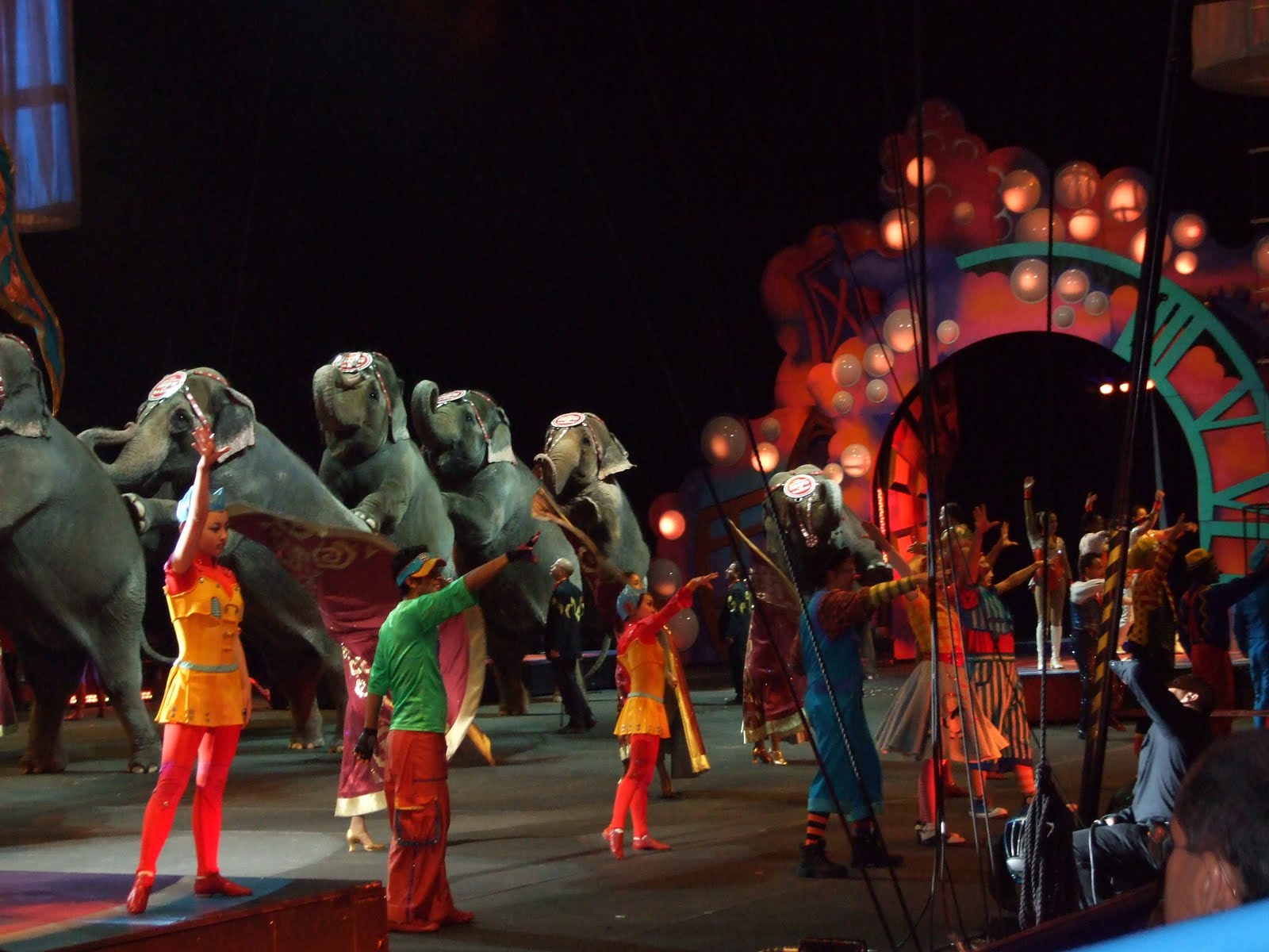 Zing Zang Zoom Circus Time Continued!