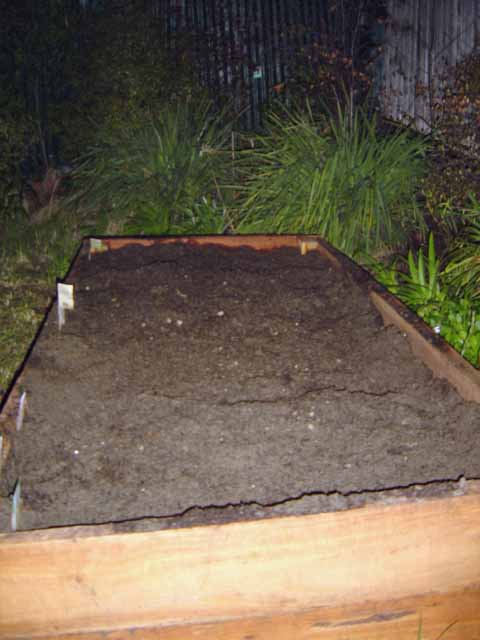 [20070611GardenPatch1.jpg]