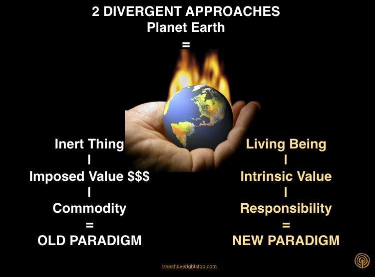 Living things and non living things. Living and non living things. комфортная жизнь. Living being. активная старость.