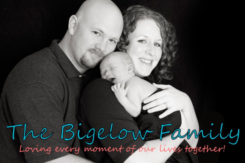 The Bigelow Family