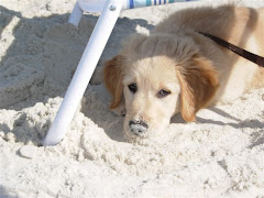 At the beach