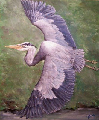 Displayed at Backyard Bird Store- Acrylics
