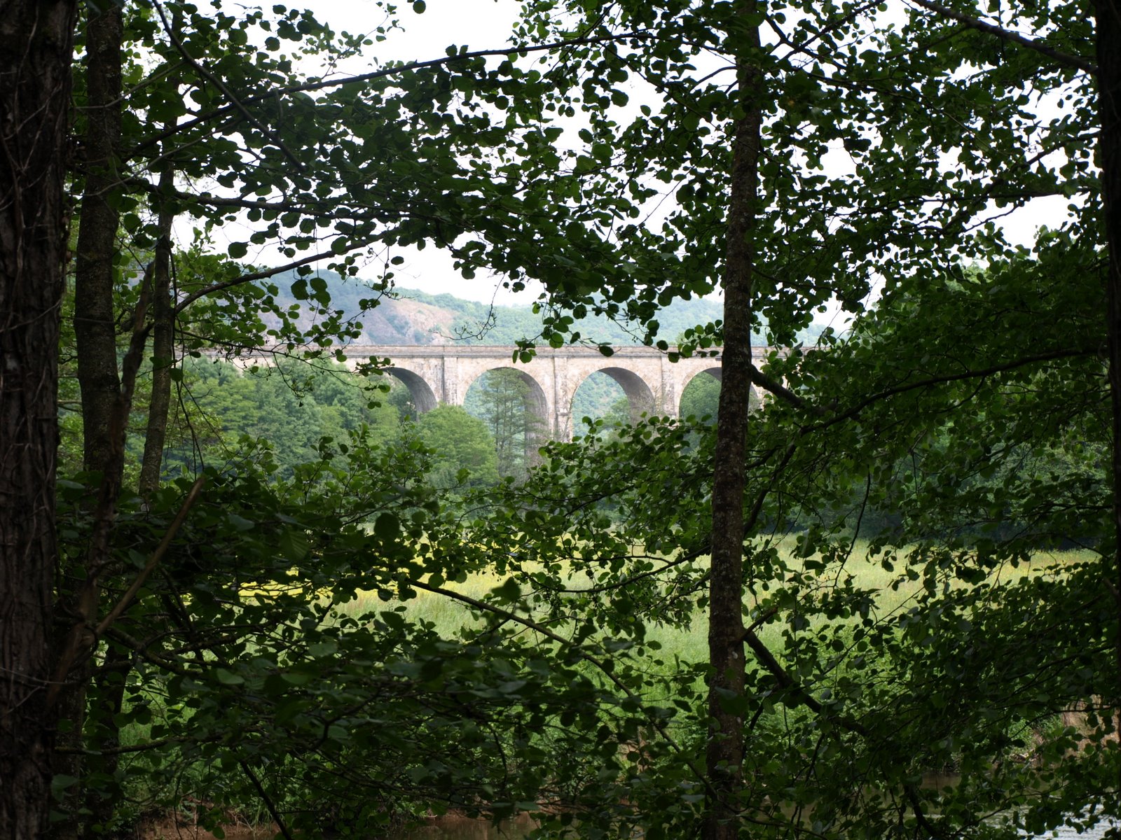[P5200761.JPG]