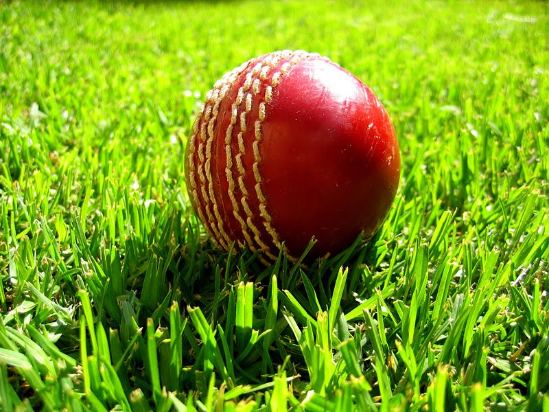 [800px-Cricket_ball_on_grass.jpg]