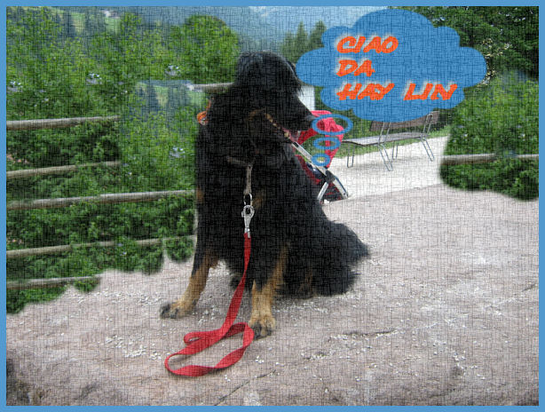 Come Fa Il Cane Bau Bau Bau