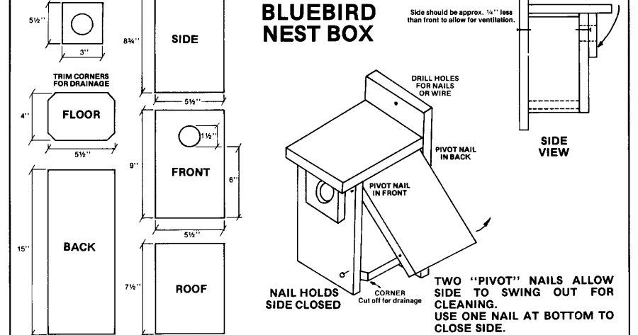 Free Bluebird House Plans Audubon Nesting Box Tutorial