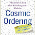 Download Full Ebook Cosmic Ordering By Debbie Frank