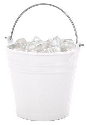 bucket+of+ice.bmp