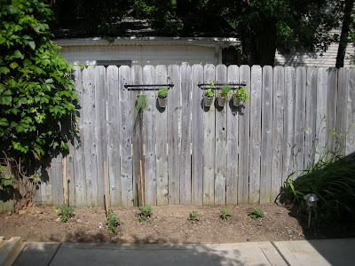 Tara Being Tara: The cutest herb garden ever!