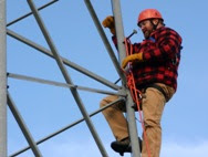 Mick Womersley, Retired Professor of Human Ecology